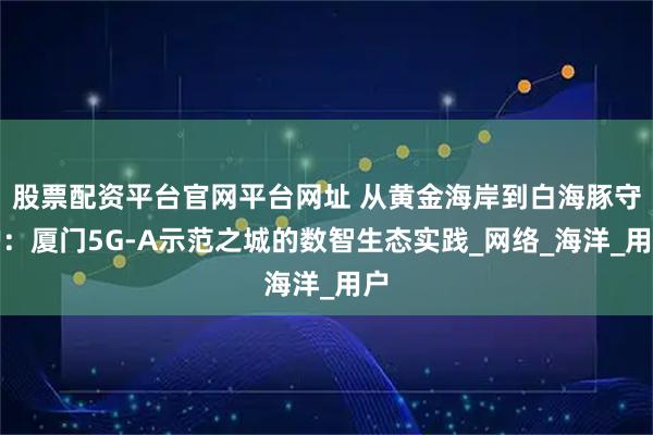 股票配资平台官网平台网址 从黄金海岸到白海豚守护：厦门5G-A示范之城的数智生态实践_网络_海洋_用户
